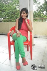 Swetha Jadhav at Inka Emi Anukoledu Press Meet